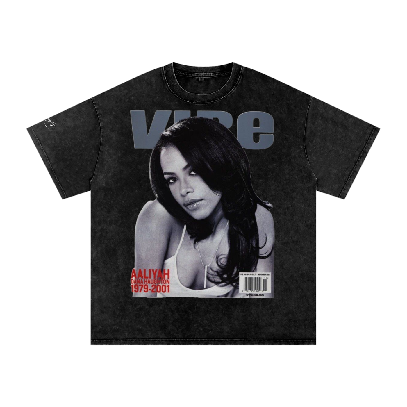 Aaliyah Snow Washed Unisex Fan Style T-Shirt, Vintage Streetwear Cotton Tee