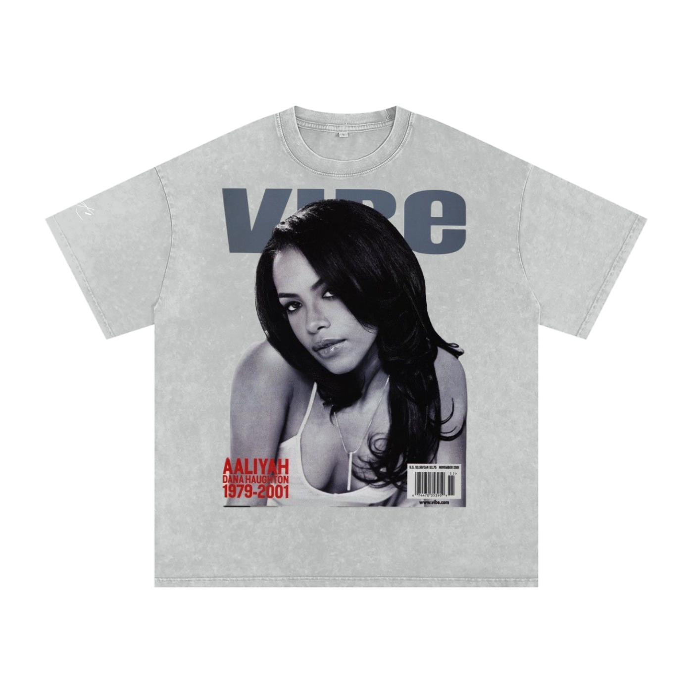Aaliyah Snow Washed Unisex Fan Style T-Shirt, Vintage Streetwear Cotton Tee