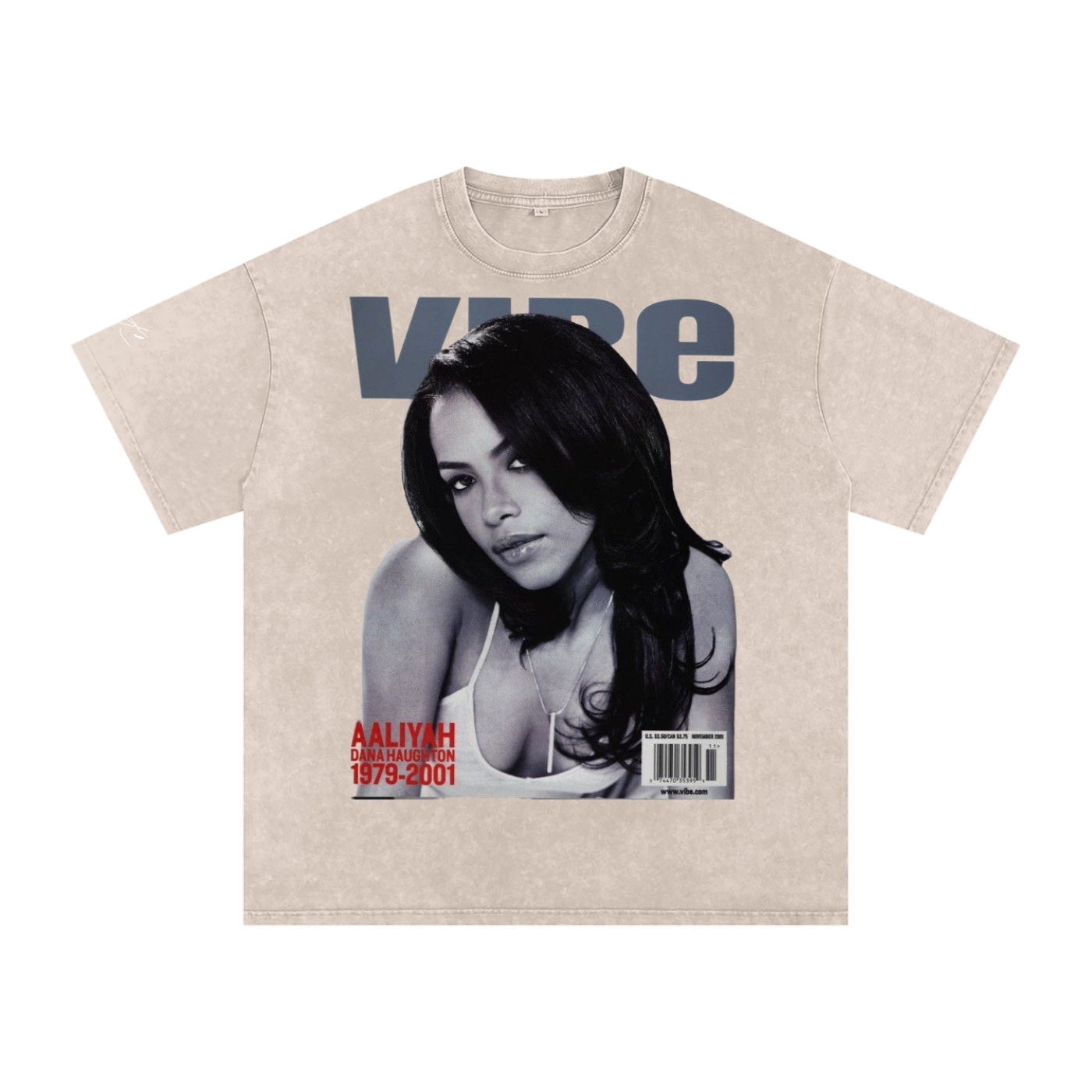 Aaliyah Snow Washed Unisex Fan Style T-Shirt, Vintage Streetwear Cotton Tee